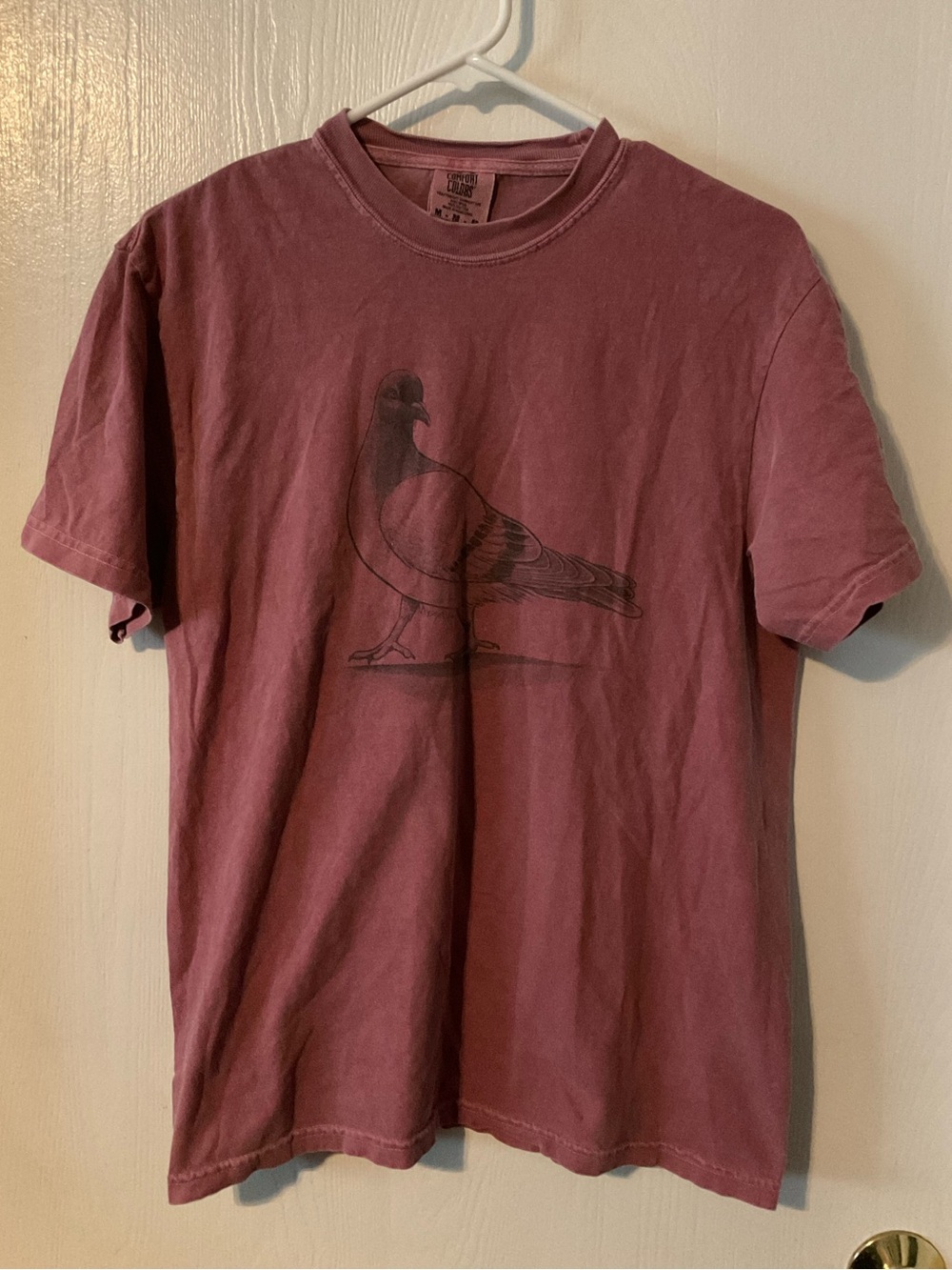 BeCause Pigeon Unisex Comfort Colors Garment-Dyed Heavyweight T-shirt Brick Red
